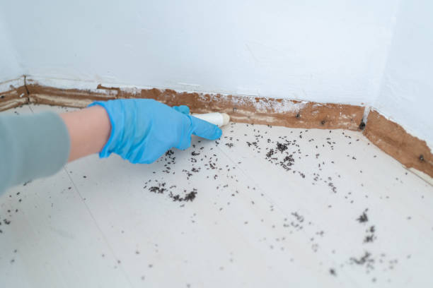 Pest Prevention Services in Kidron, OH